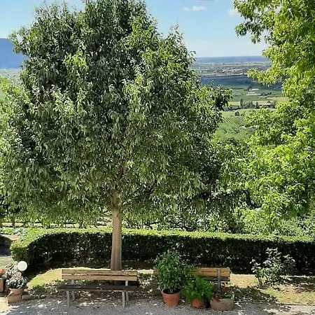 مزرعة للإقامة Il Castagneto Teolo