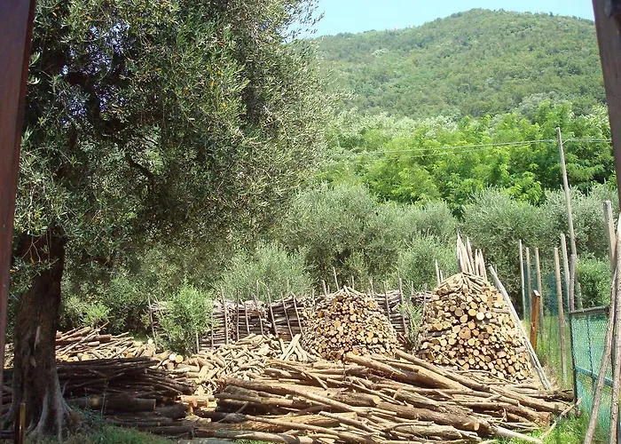 Bauernhof Il Castagneto *