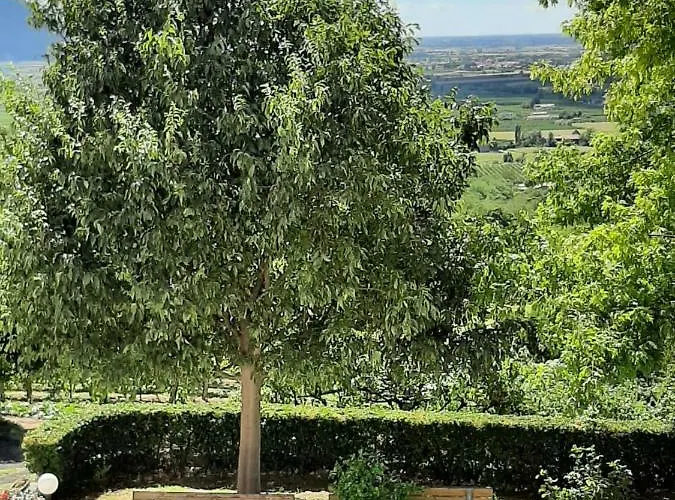 Bauernhof Il Castagneto Teolo