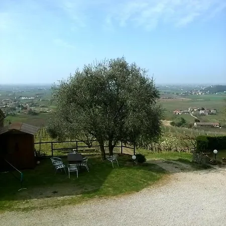 Il Castagneto *