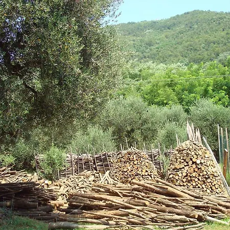 Çiftlik konaklama Il Castagneto *